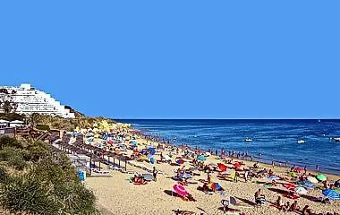 Vakantiehuis Snoopy 4 *
